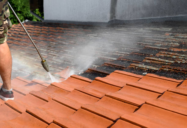 Best Roof Pressure Washing  in Taunton, MA