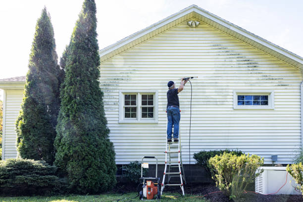 Best Deck Cleaning Services  in Taunton, MA