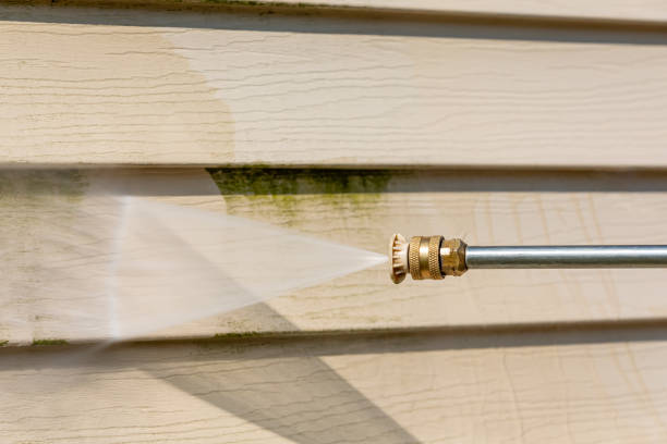 Best Local Pressure Washing Services  in Taunton, MA