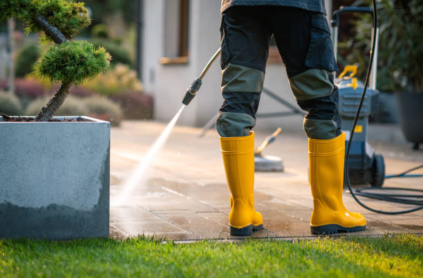 Best Local Pressure Washing Services  in Taunton, MA